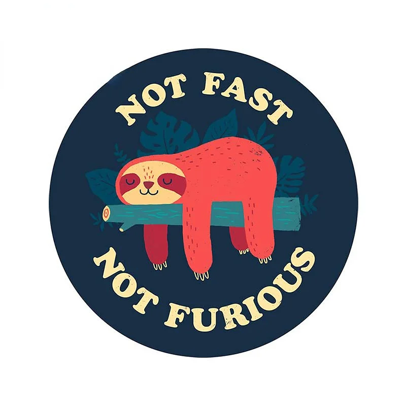 Car Accessories You Need - 13cm Not Fast Not Furious Trunk