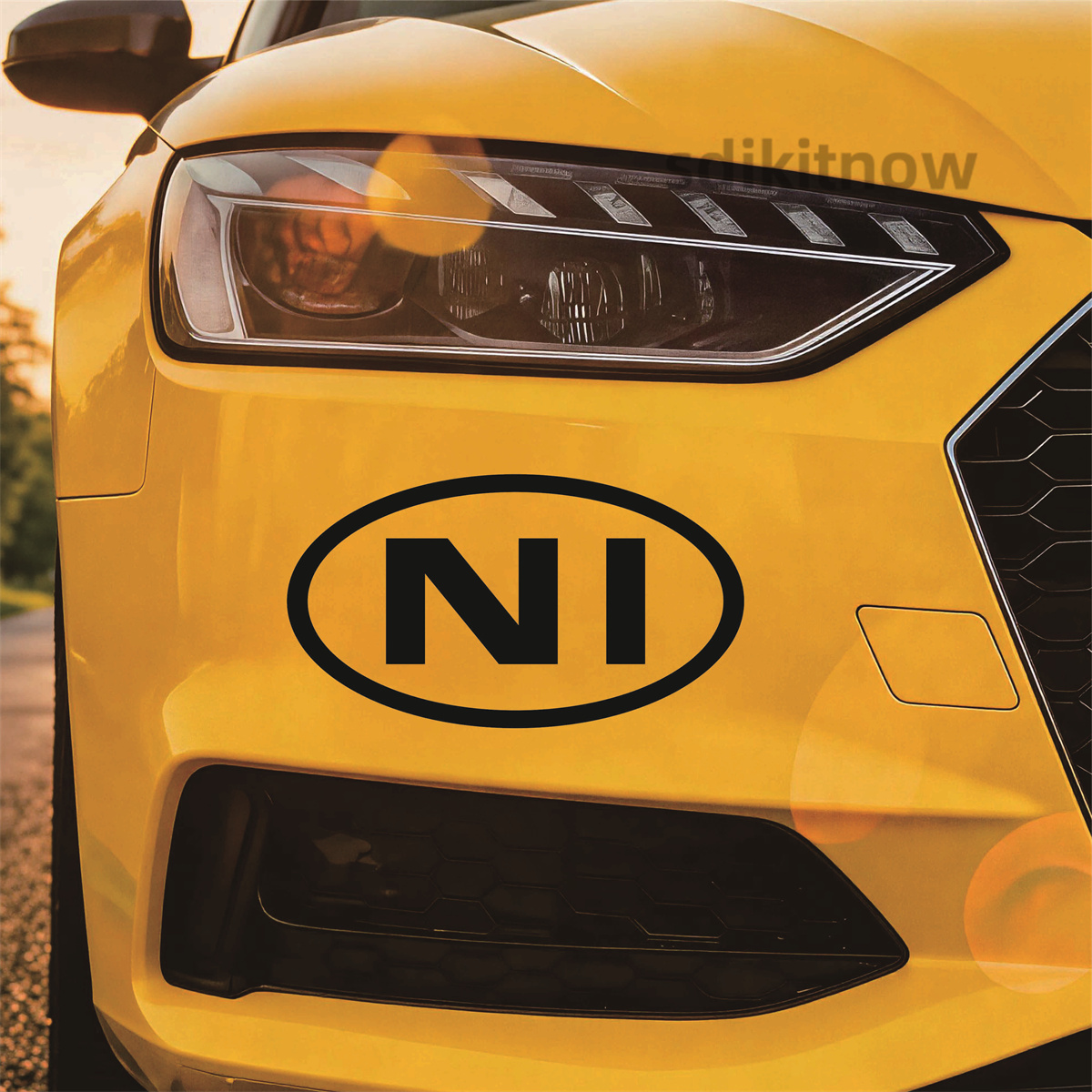 Car Accessories Ireland - Oval Northern Ireland NI Letter car