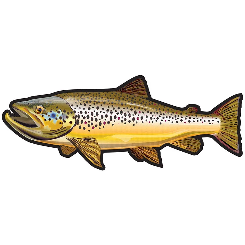Car Stickers Wild Brown Trout  - огляд і ціна Car Accessories You Need