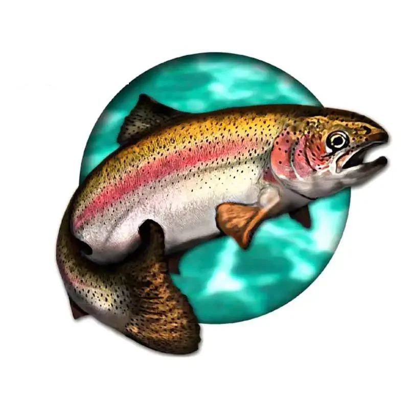 Car Stickers Wild Brown Trout  - огляд і ціна Car Accessories You Need